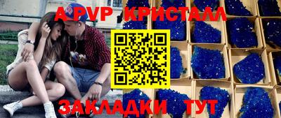 крисы Пенза