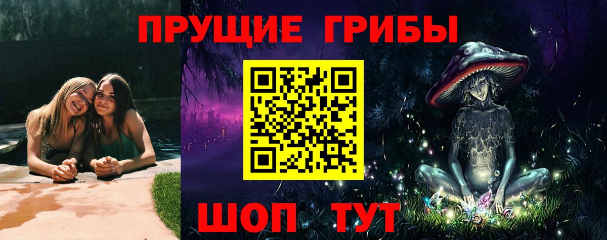 Аргун  Псилоцибиновые грибы мицелий  цены наркотик  Вход с VPN 